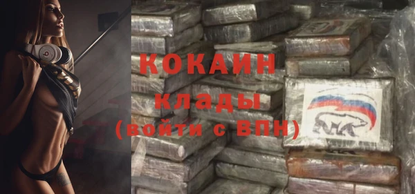 apvp Кукмор