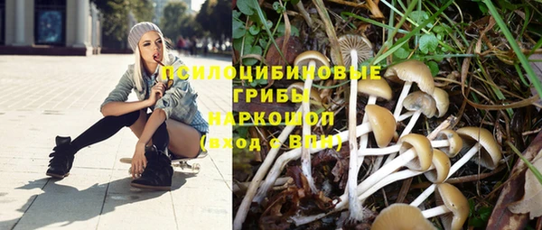 Альфа ПВП Шадринск