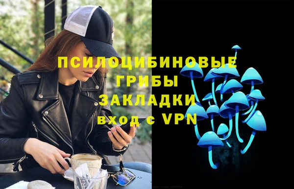 apvp Кукмор