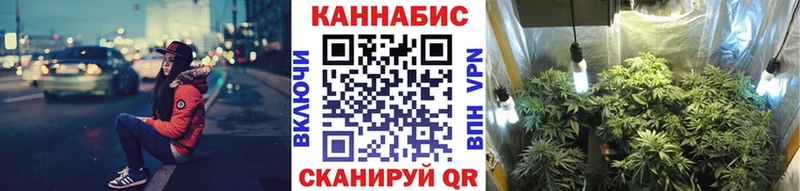 Бошки Шишки семена  Купить  Кировск 
